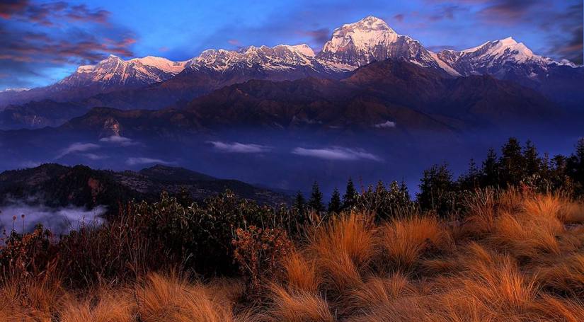 Ghorepani Poonhill Trek