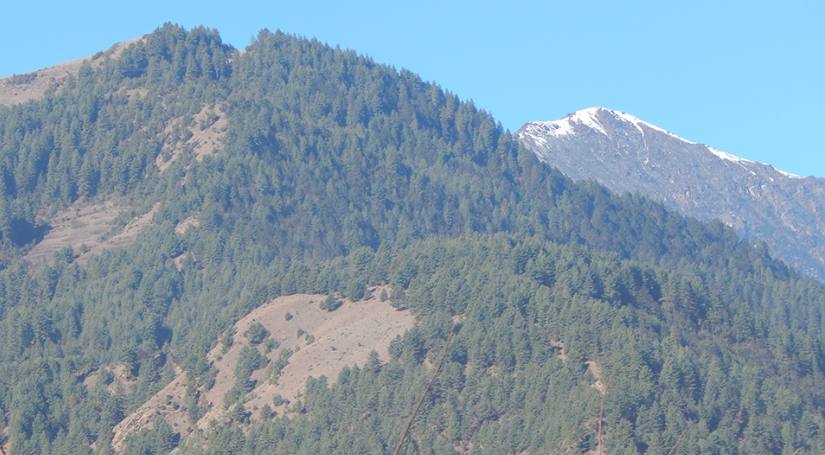 Pike Peak Climb