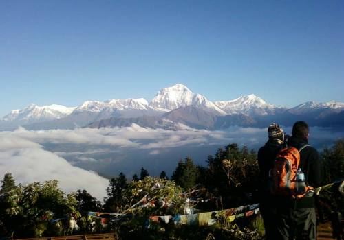 Ghorepani Poonhill Trek