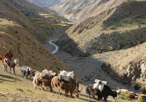 Lower Dolpo Trek