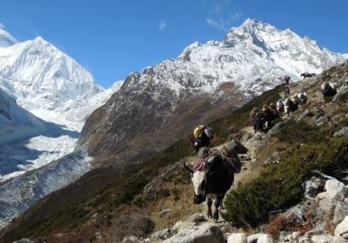 Manaslu and Annapurna Trek with Tilicho Lake